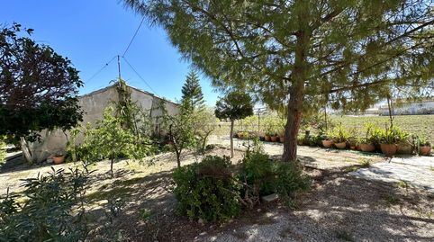 Photo 4 of Houses for sale in Camino Carril de Manzanares, 20, Marchena, Lorca