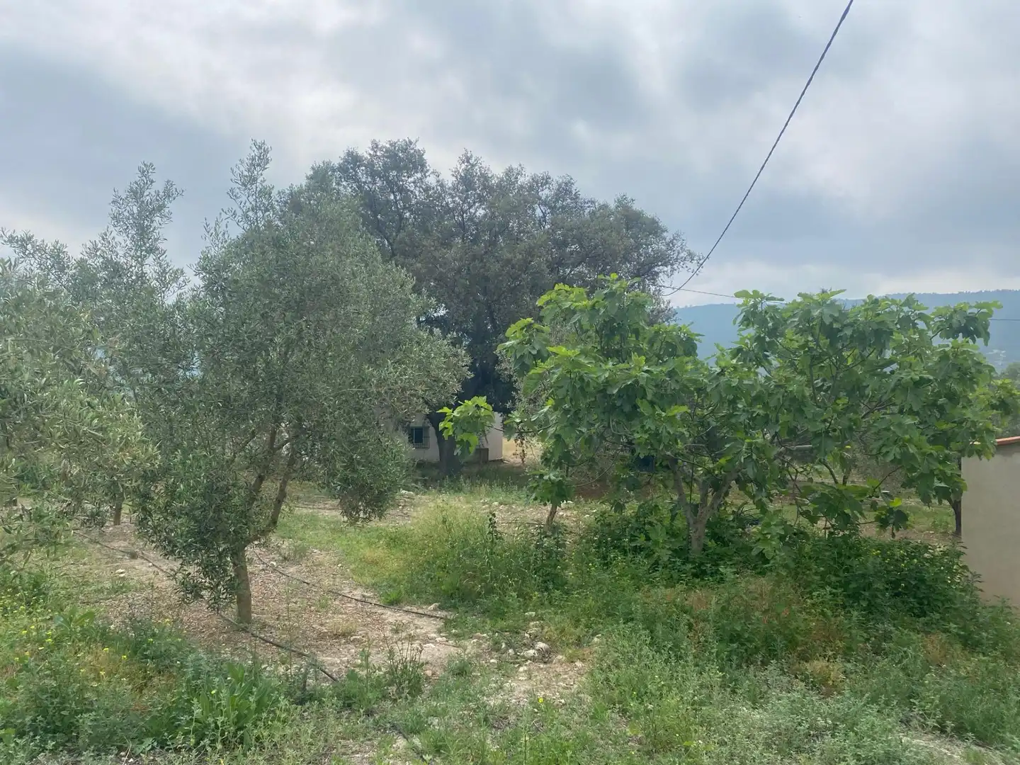 Finca rústica en venta en Enguera