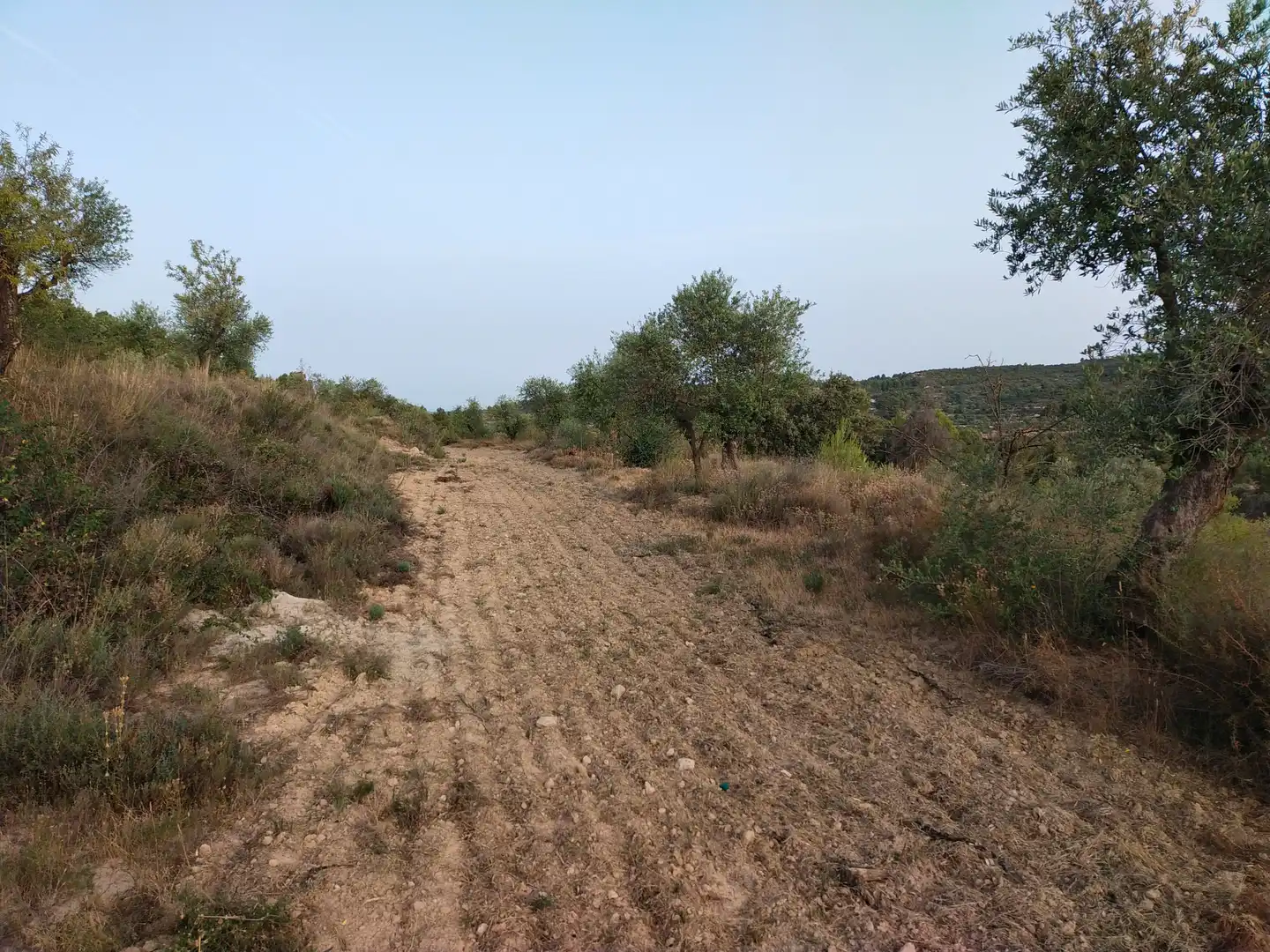 Terreno rústico en venta en Cervià de Les Garrigues, imagen 6