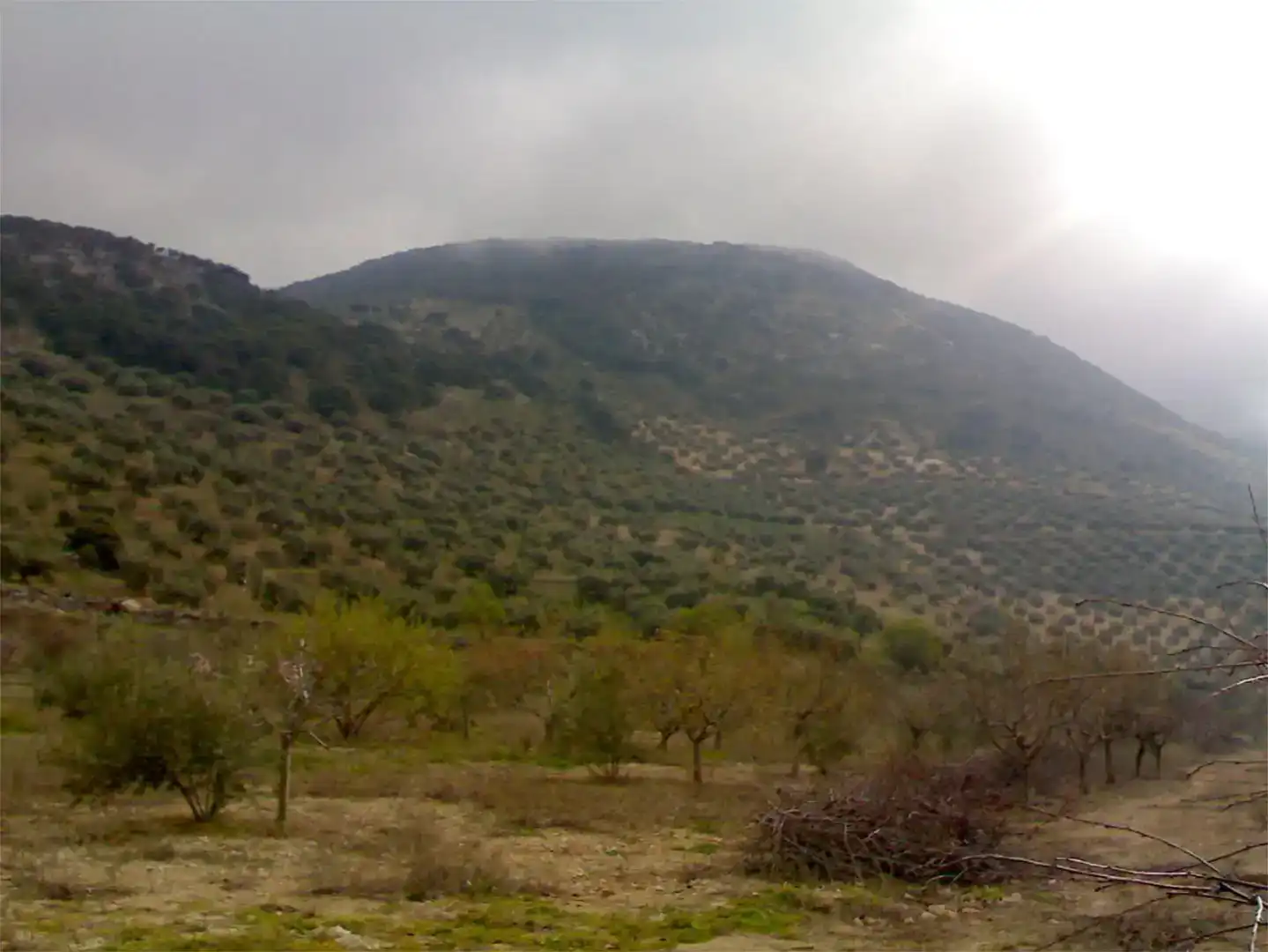Country house zum Verkauf in Valdepeñas de Jaén mit Schwimmbad