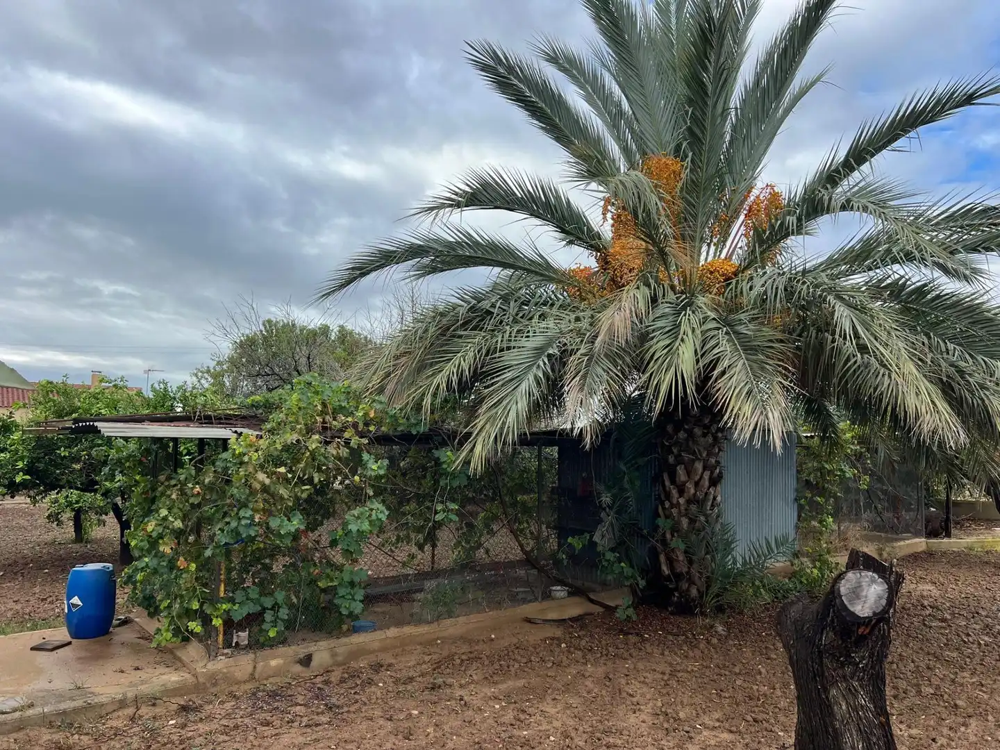 Casa o xalet en venda en Elche / Elx amb Jardí privat, Terrassa i Piscina