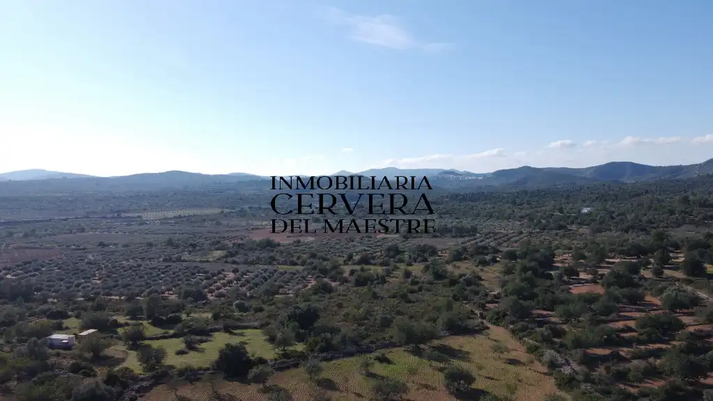 Terreno rustico in vendita a Cervera del Maestre, imagen 10