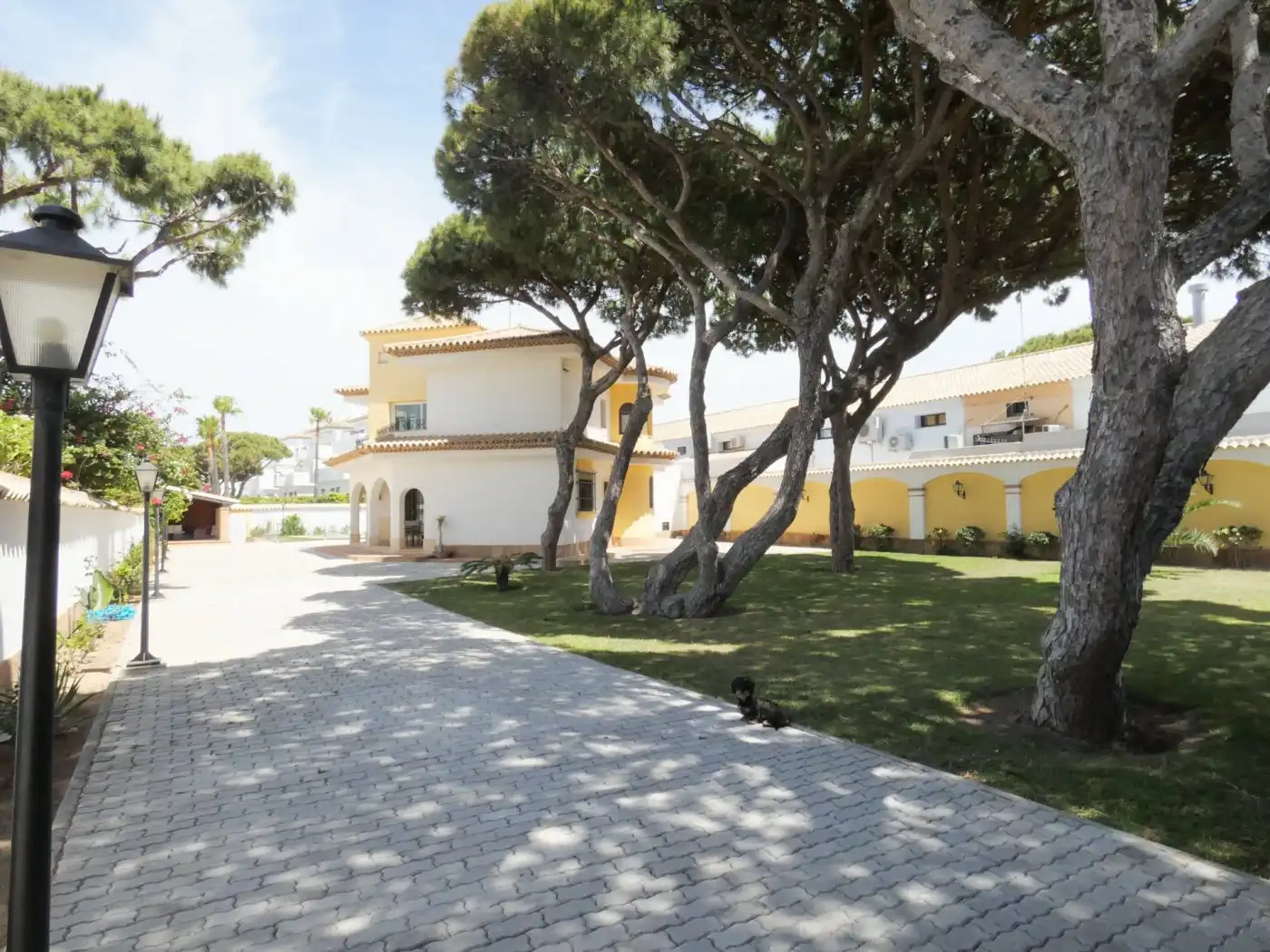 Exterior view of Houses for sale in Chiclana de la Frontera  with Air Conditioner, Private garden and Terrace