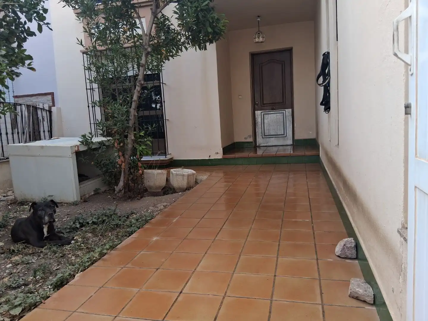 Terrassa de Casa o xalet en venda en El Ejido Ciudad