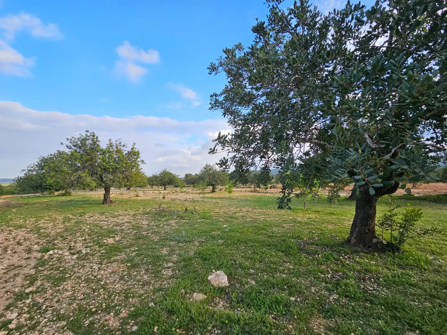Finca rústica en venta en Chulilla