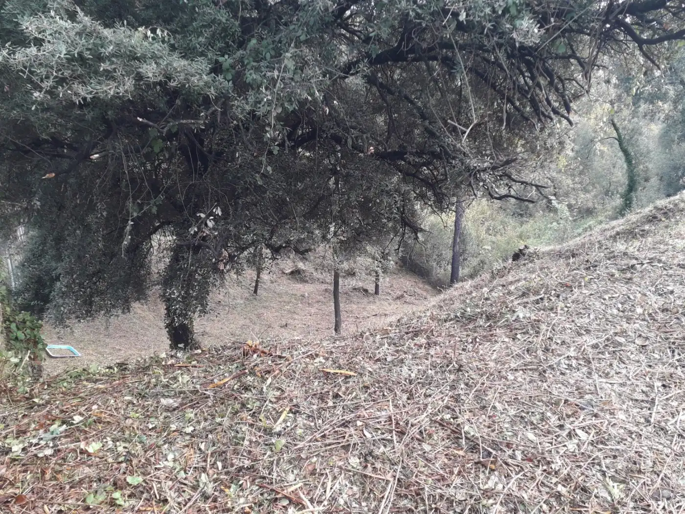 Wohnbaugrundstück zum Verkauf in can canyameres, imagen 10