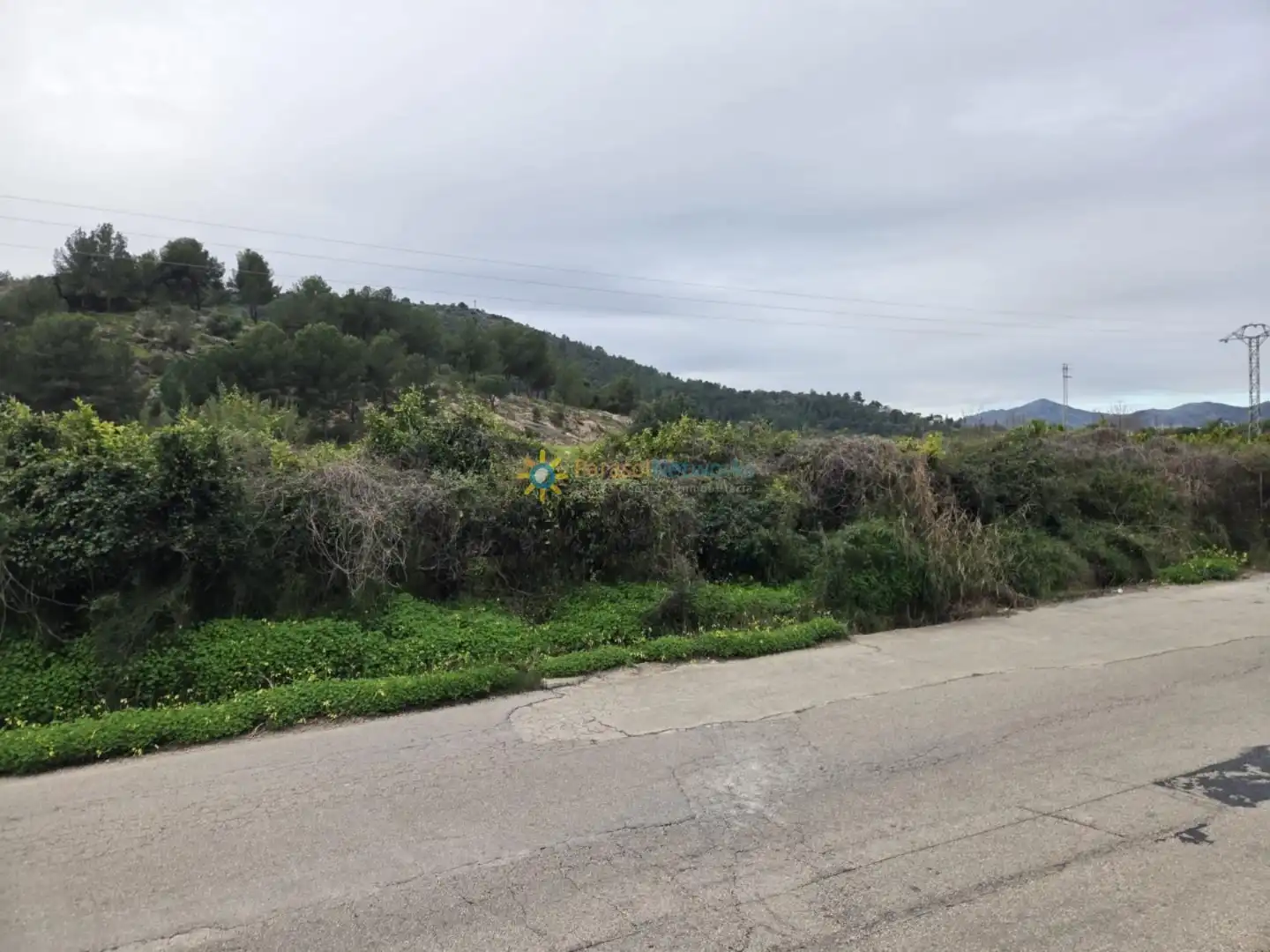 Terreno rustico in vendita a L'Alqueria de la Comtessa, imagen 4