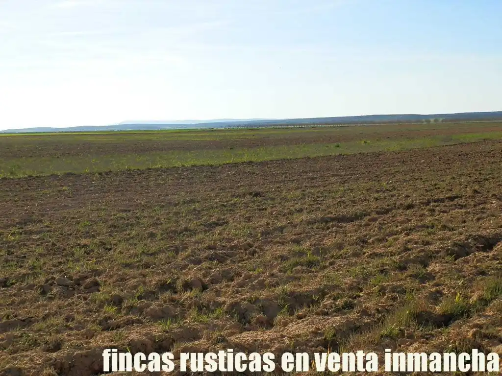 Terreni e lotti in vendita a Madridejos, imagen 16