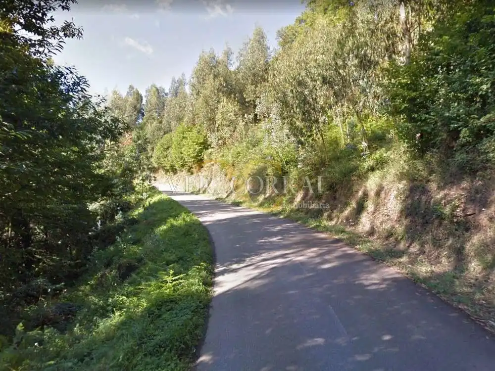 Casa o chalet en venta en Camino de Castro - Selgas de Abajo, Pravia