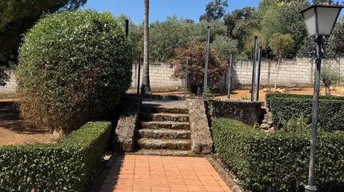 Foto 2 de Casa o chalet en venta en Calle Roble, 10, Alcolea, Córdoba Capital
