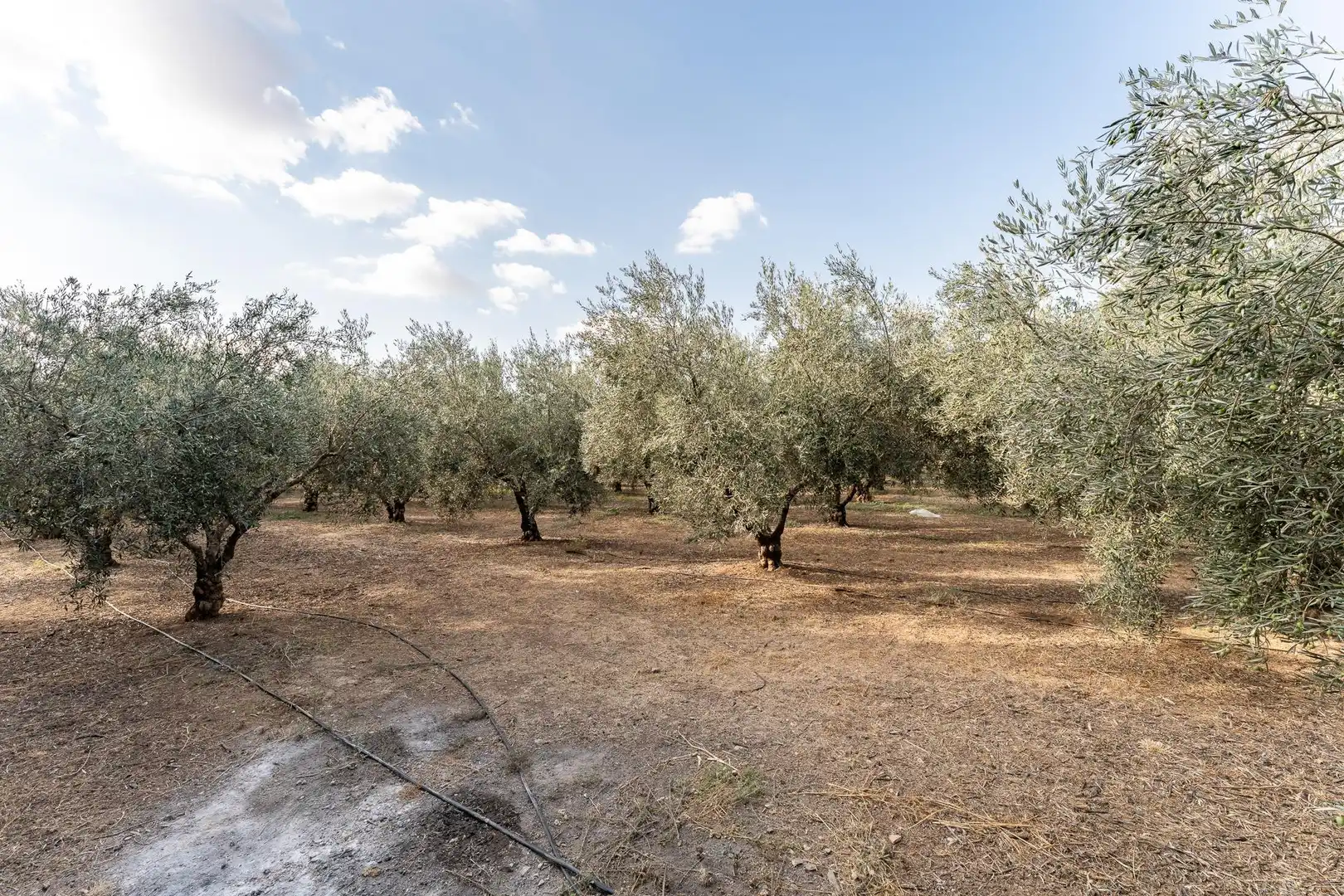 Casa o chalet en venta en Antequera con Jardín privado y Piscina