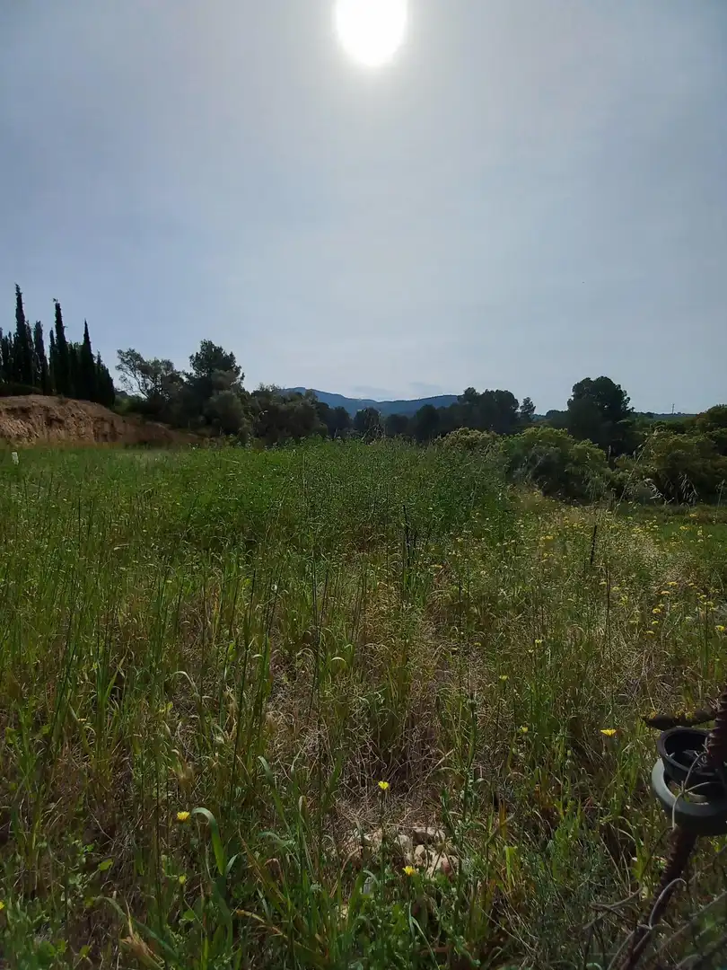 Rural land for sale in Ginestar, imagen 18