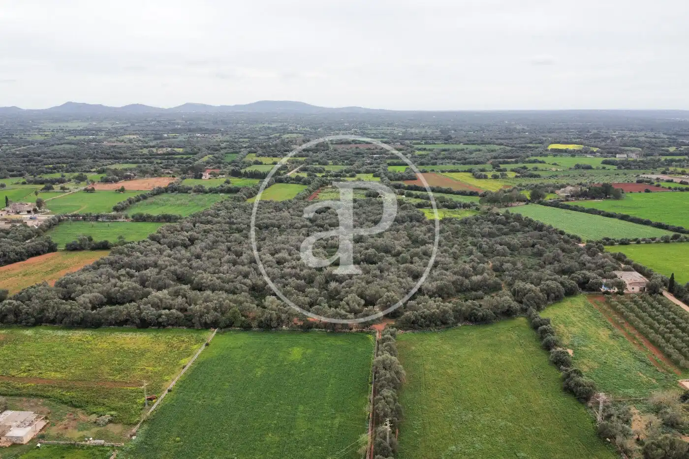 Residential zum Verkauf in Felanitx