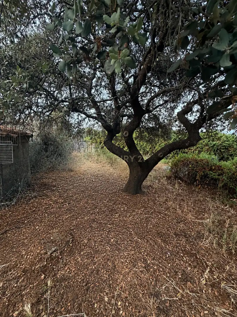 Casa o xalet en venda en Trujillo amb Aire condicionat, Jardí privat i Traster