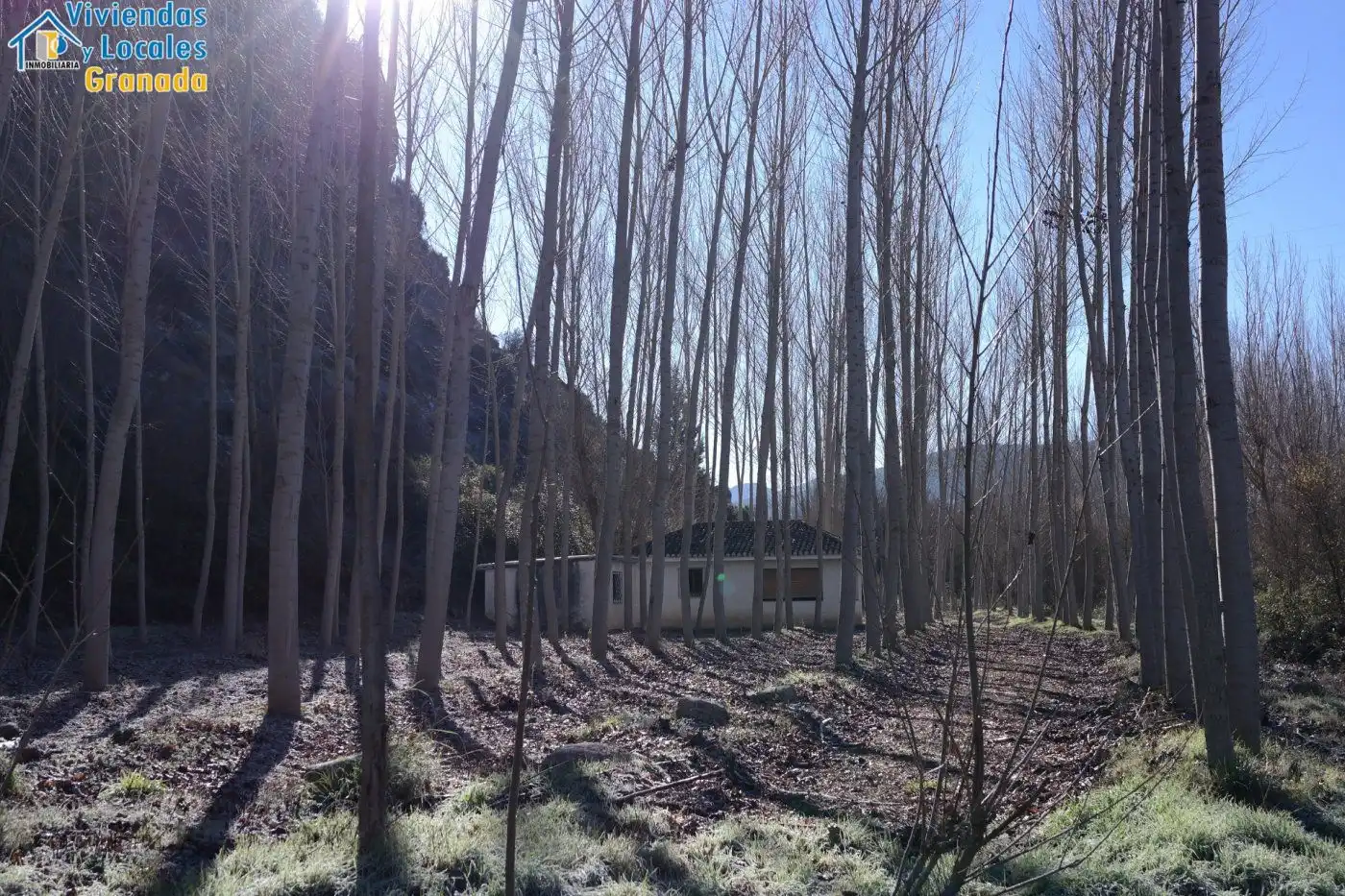 Terreni e lotti in vendita a Alhama de Granada, imagen 5