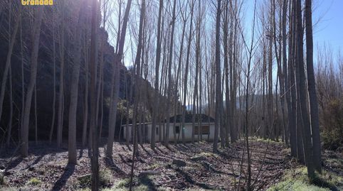 Photo 5 of Land for sale in Alhama de Granada, Granada