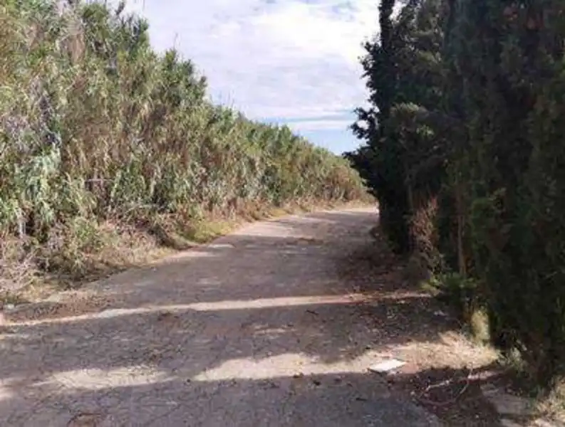 Residential land for sale in INDUSTRIAL CN II, POLIGONO 18, PARCELA 44, imagen 17