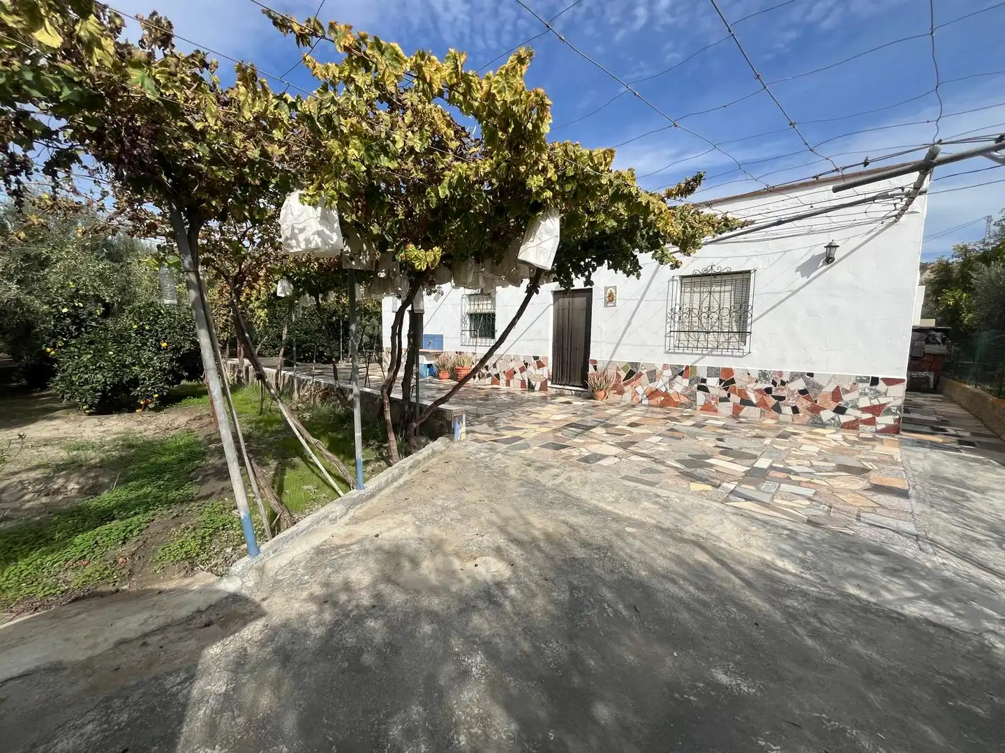 Vista exterior de Terreno en venta en Alsodux