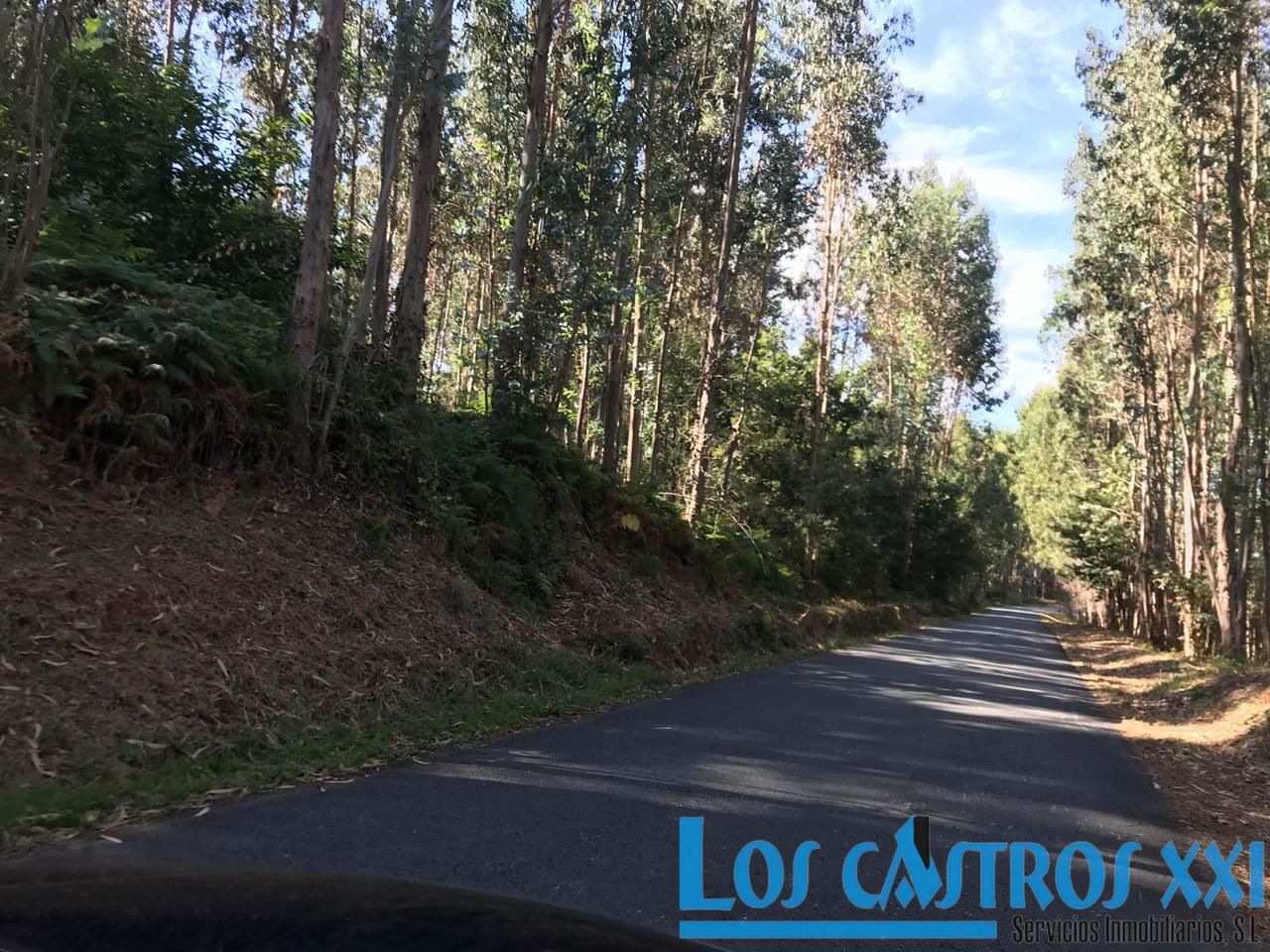 Vista exterior de Residencial en venda en Maside