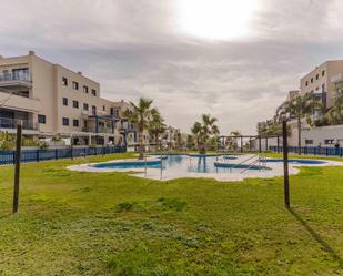 Swimming pool of Flat to rent in Almuñécar