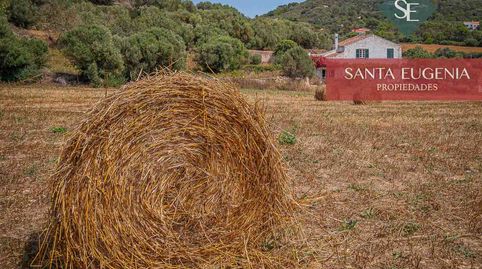 Foto 3 de Finca rústica en venda a Es Grau - Serra Morena, Maó - Mahón