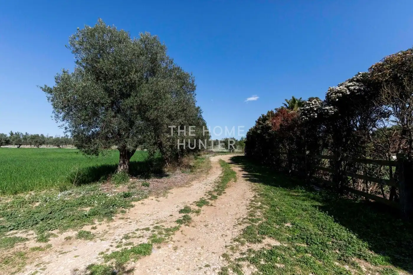 Houses for sale in Siurana