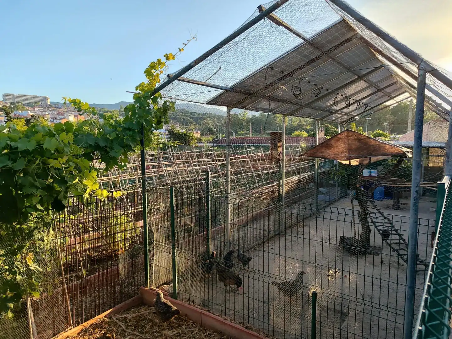 Jardí de Casa o xalet en venda en Algeciras