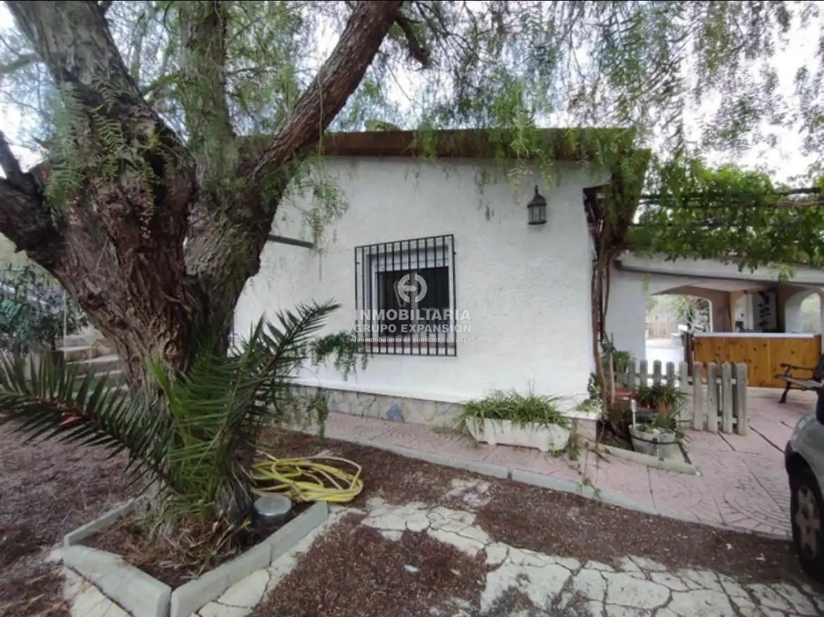Vista exterior de Casa o xalet en venda en Aspe amb Aire condicionat, Calefacció i Jardí privat