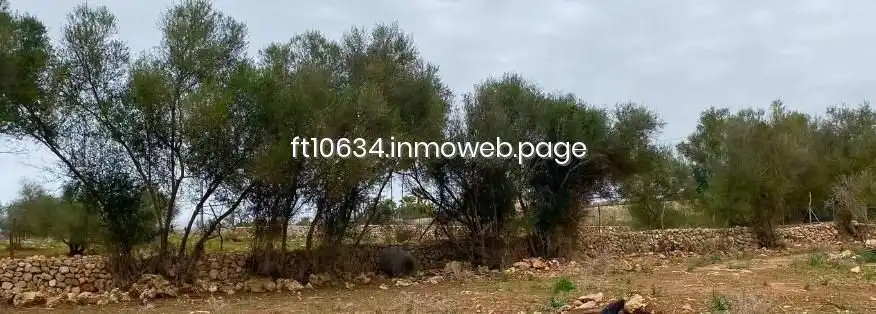 Casa o chalet en venta en Sineu
