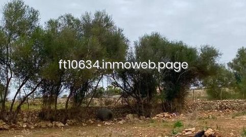 Foto 3 de Casa o chalet en venta en Sineu, Illes Balears