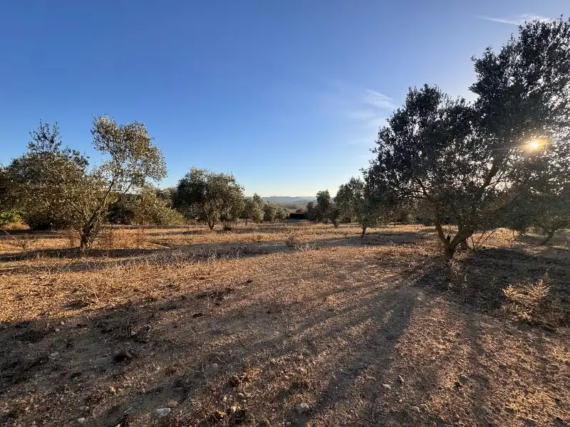 Terreno rustico in vendita a Barri Castell d'Empordà, imagen 3