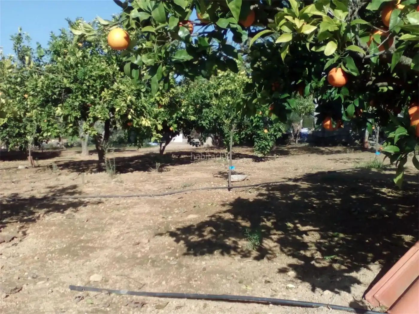 Casa en venda a Diseminado Diseminados 2 615, imagen 19