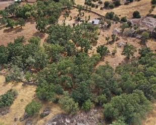 Finca rústica en venda en El Escorial amb Calefacció, Jardí privat i Terrassa