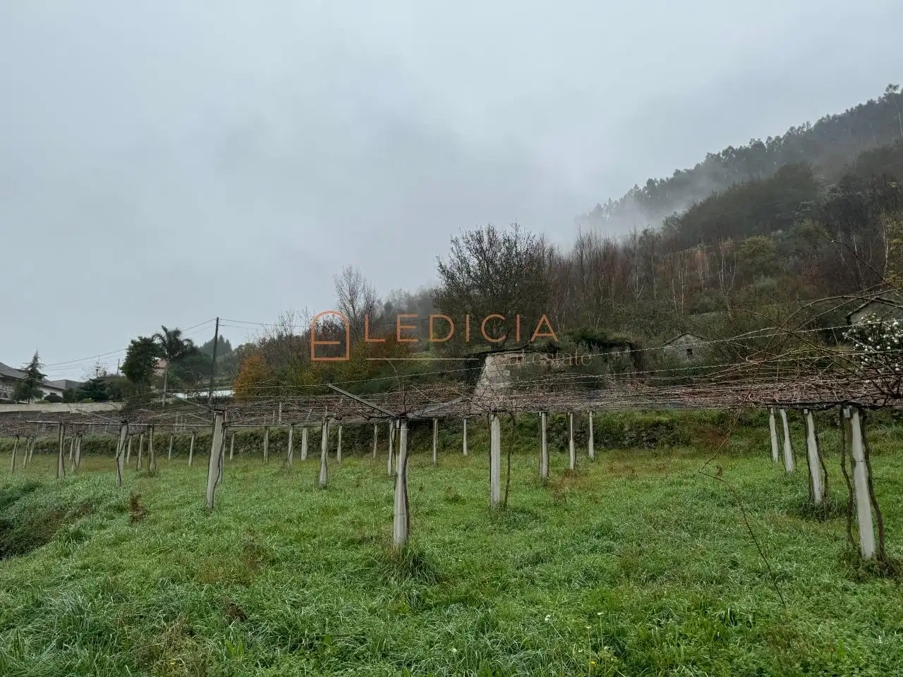 Rural land for sale in San Martiño de Verducido, imagen 11