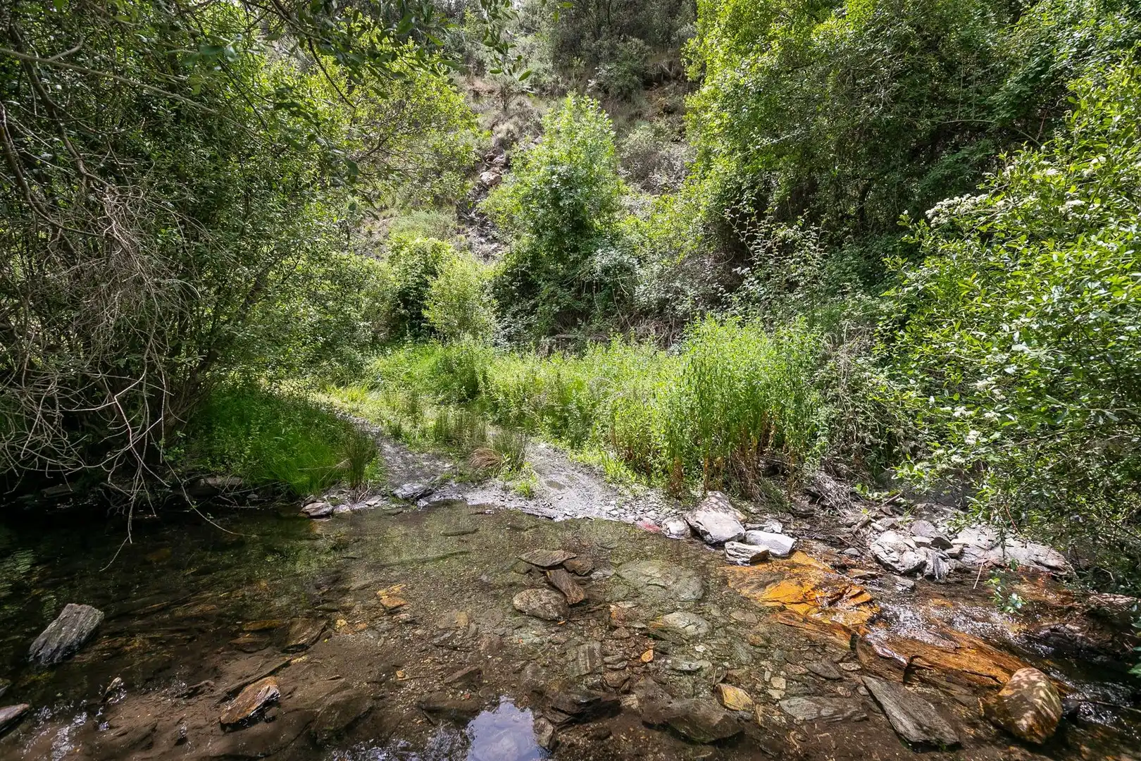 Terreni e lotti in vendita a Majadillas, imagen 3
