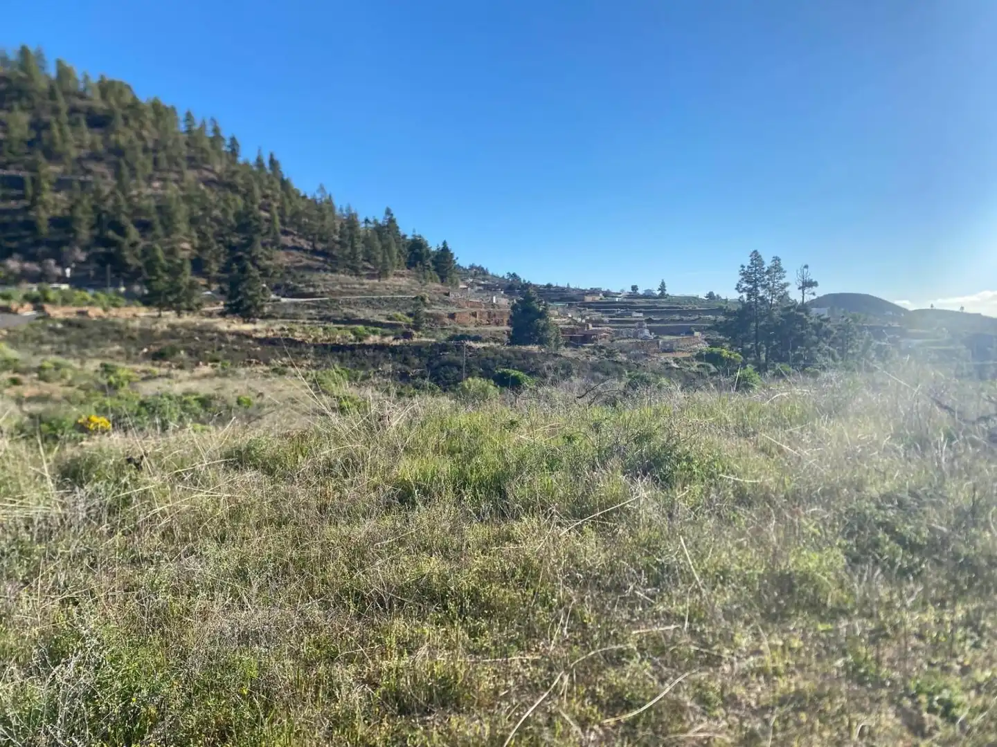 Land for sale in Granadilla de Abona