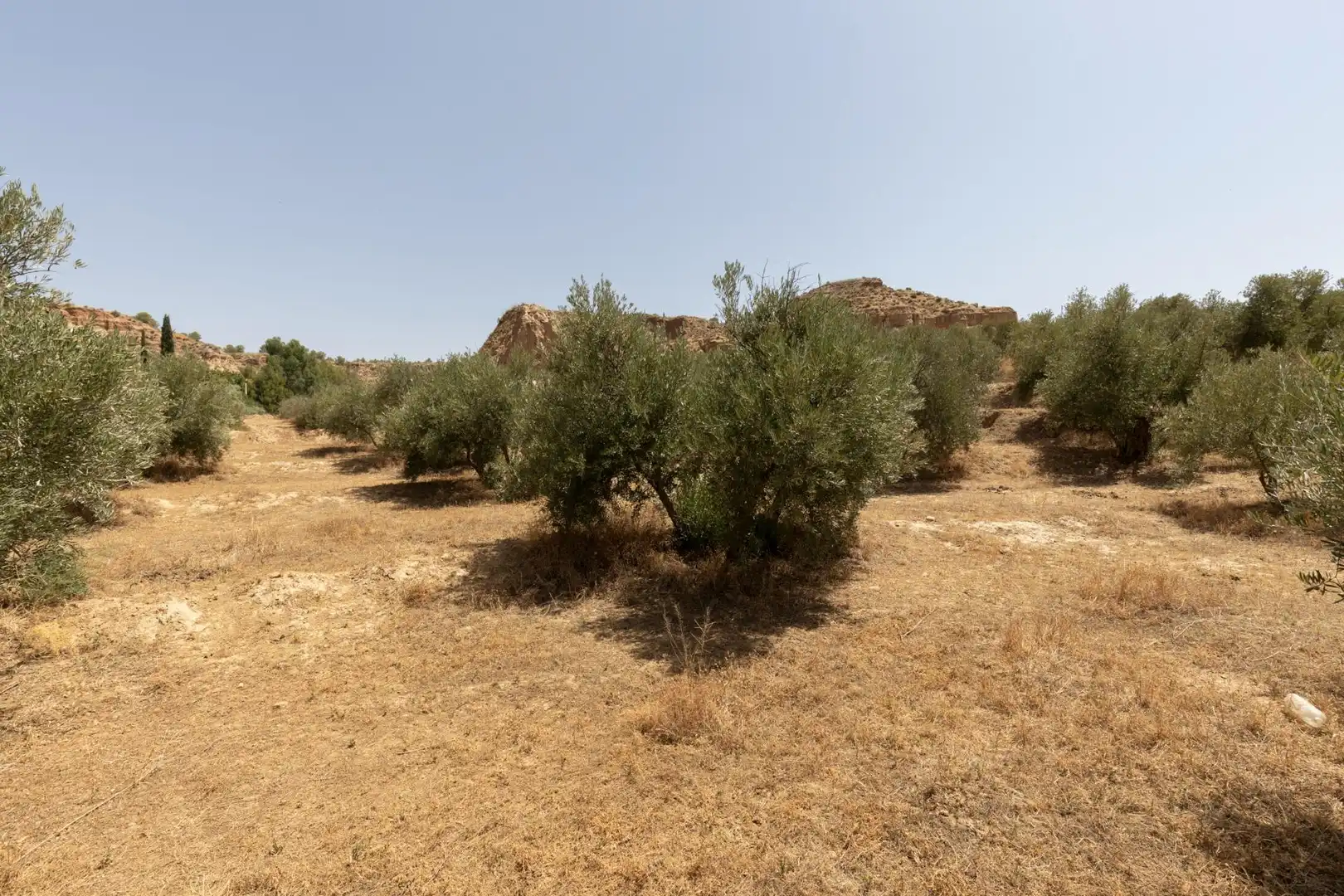 Terreni e lotti in vendita a Guadix, imagen 9