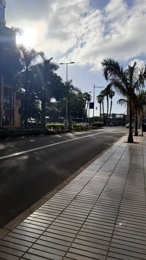 Pis de lloguer a Las Palmas de Gran Canaria, Las Palmas