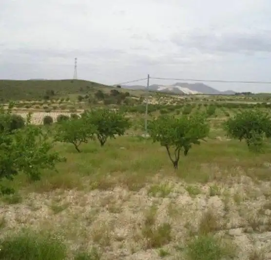 Rustikales Grundstück zum Verkauf in Jumilla, imagen 5