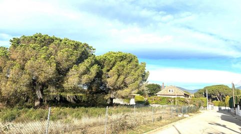 TERRENO ENTRE LLINARS Y CARDEDEU APTO PARA EDIFICAR UNIFAMILIAR AISLADA, immagine 5