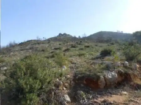 Terreno en venta en Ptda el Collado, Montitxelvo / Montichelvo