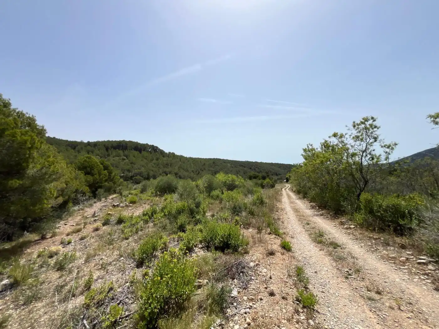 Terrain rustique à vendre à Carrer de les Muralles 1, imagen 2