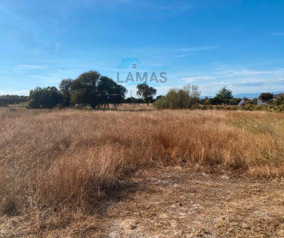 Terreno en Venta en Saucedilla