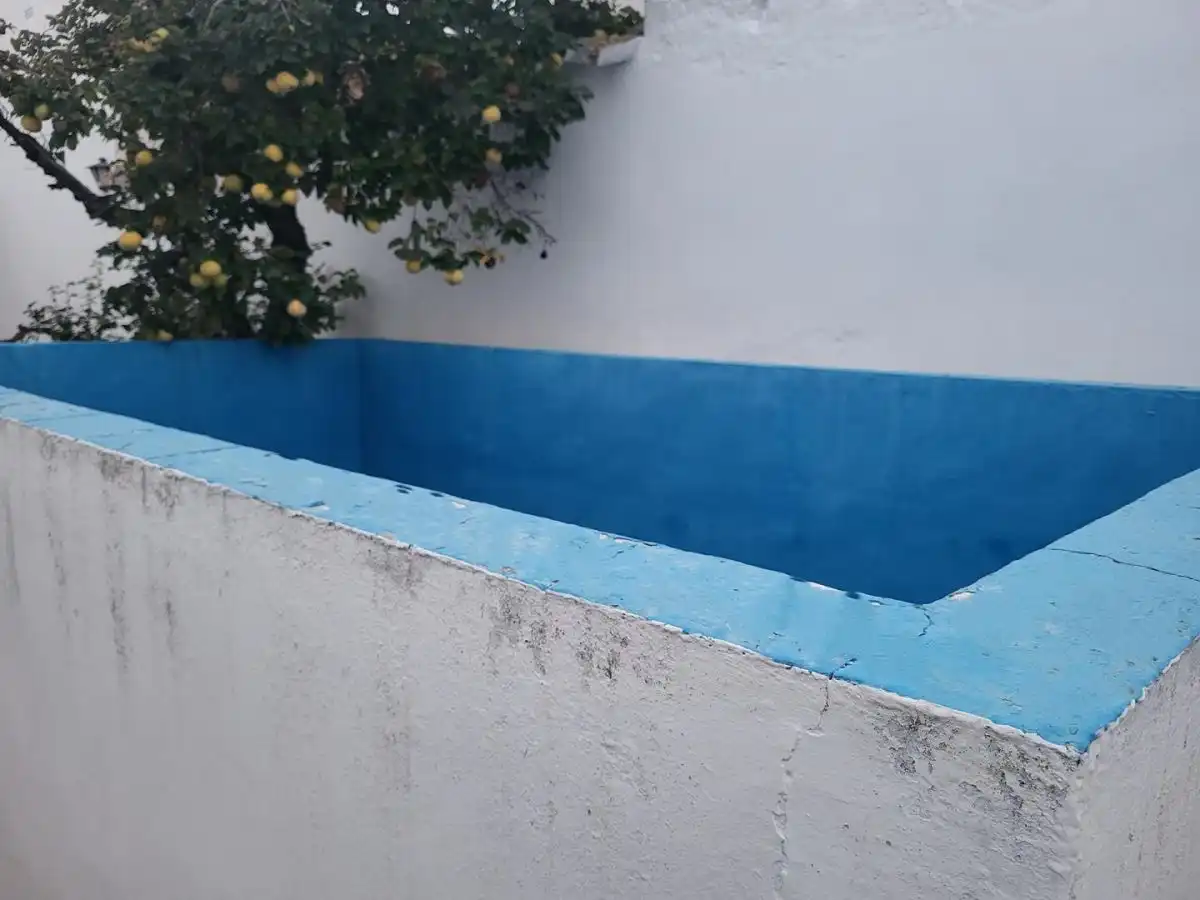 Piscina de Casa o xalet en venda en Sisante amb Piscina