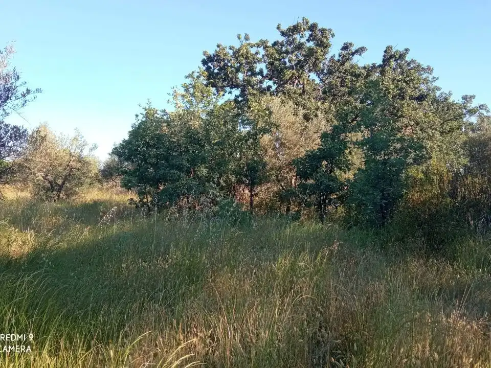 Terreno en venta en Robledillo de la Vera