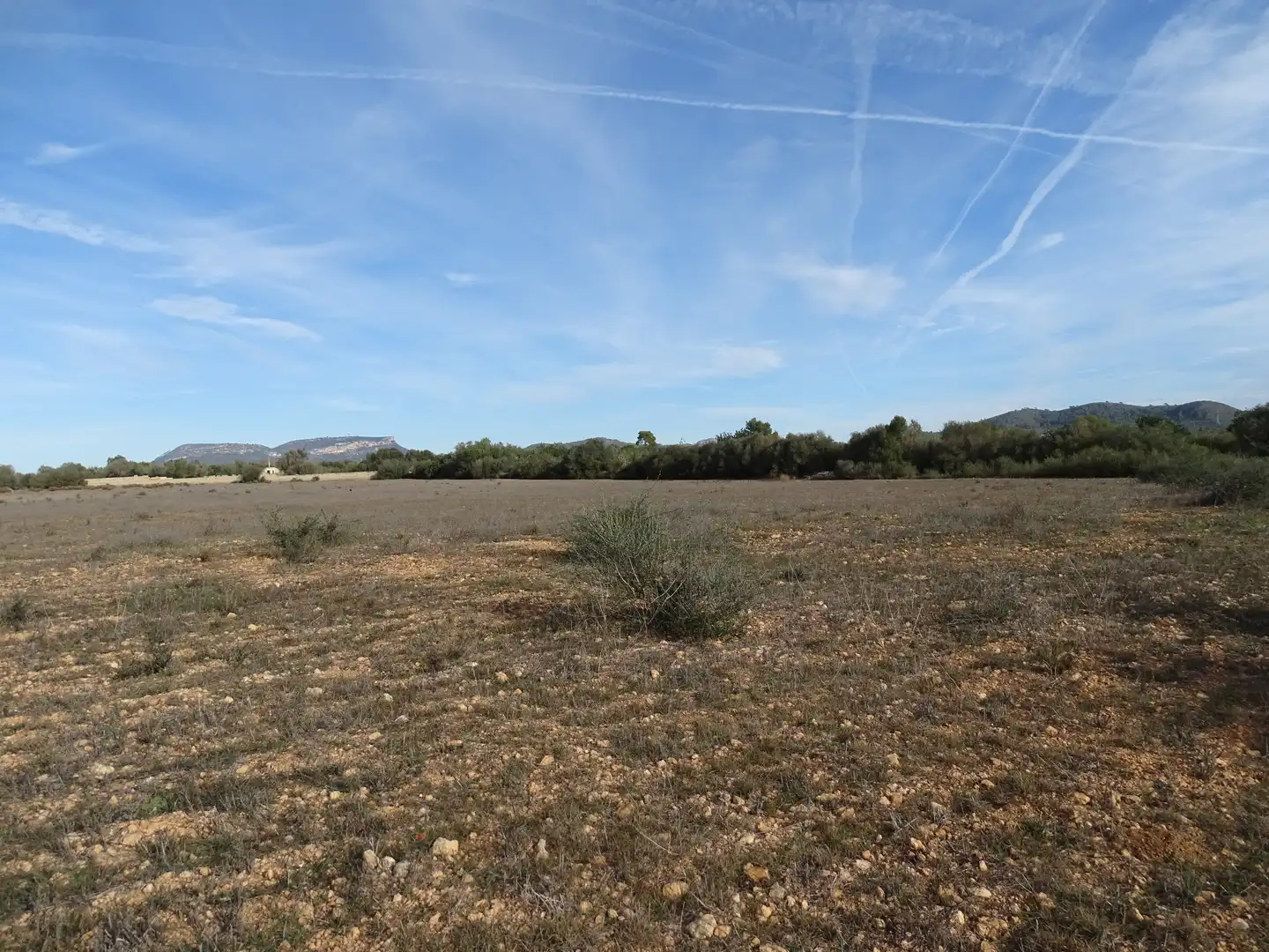 Terreno rustico in vendita a Llucmajor pueblo, imagen 4