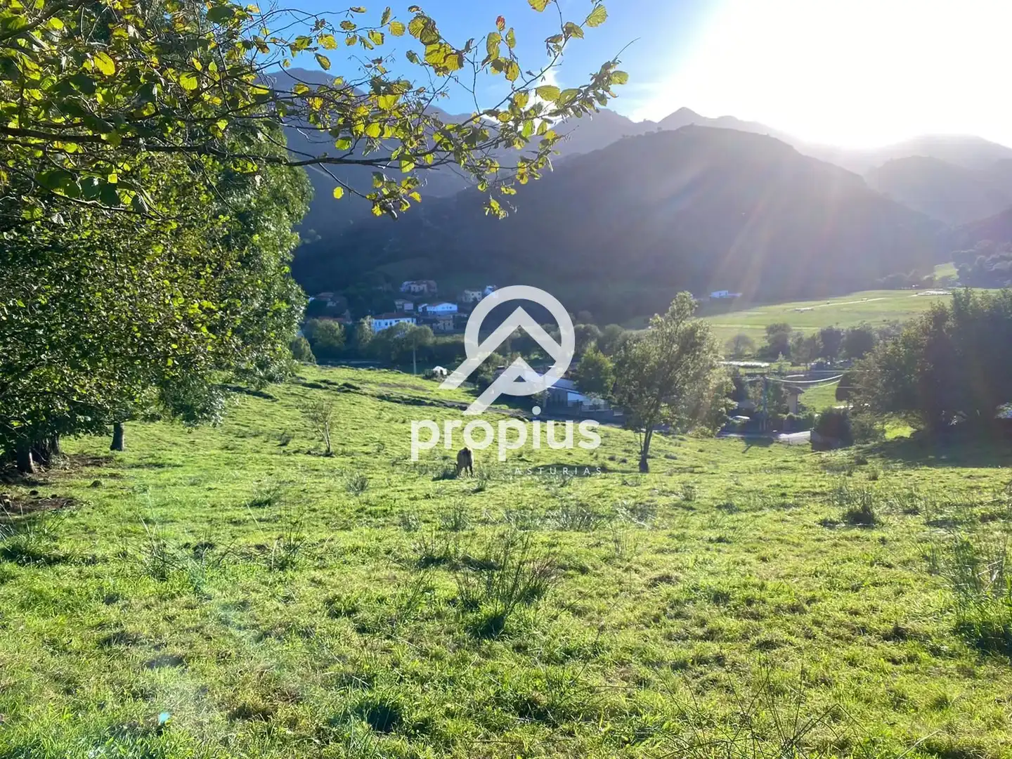 Terreno residencial en venta en LA BORBOLLA, imagen 6