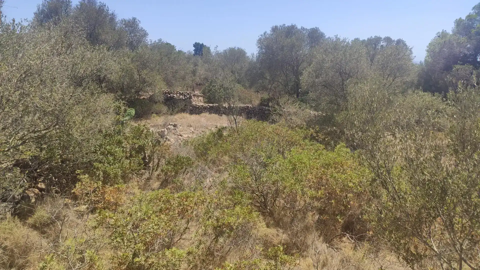 Terreny en venda en Marratxí