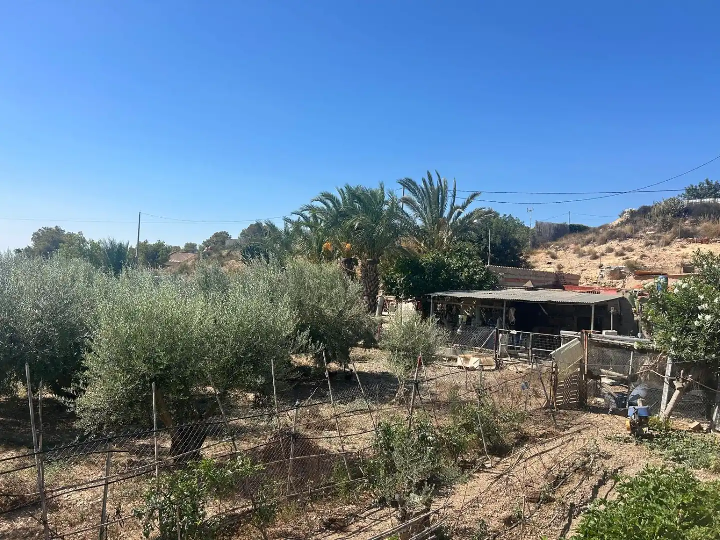 Finca rústica en venda en Crevillent amb Calefacció, Terrassa i Traster