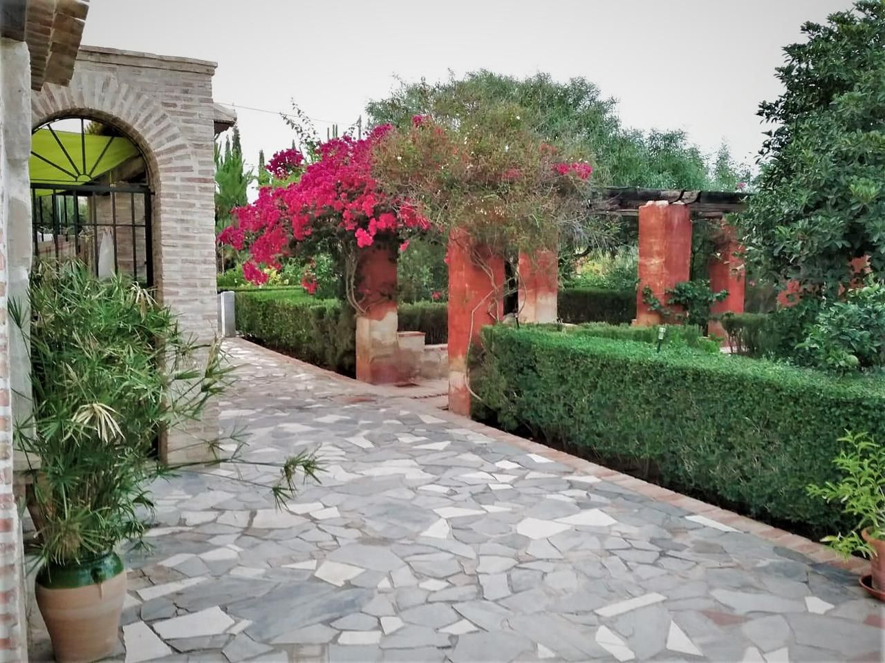 Jardí de Casa o xalet en venda en Crevillent amb Jardí privat, Terrassa i Moblat